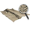 1971-73 FULLSIZE OER LOOP CARPET FAWN - image 1