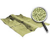 Molded Carpet 1968-73 Chevy II/Nova - Automatic - image 1