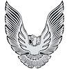 Fuel Door Emblem 1979-1981 Firebird - image 1