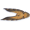 Fuel Door Emblem 1979-1981 Firebird Trans Am - image 2