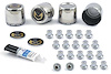 Wheel Center Cap, Emblem, Lug Nut Kit for 1977-1981 Pontiac Firebird [Gold Bird Logo, Stainless Steel] - image 1