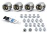 Wheel Center Cap, Emblem, Lug Nut Kit for 1977-1981 Pontiac Firebird [Gold Bird Logo, Stainless Steel] - image 2