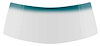 Windshield Glass Fits 1965-1969 Chevrolet Corvair [Tinted] - image 1