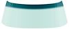 DW715T 1968-70 Dodge, Plymouth B-Body; Front Windshield Glass; 2 Door Hardtop & Sedan; Light Green Tint; with Blue/Green Upper S - image 1