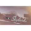 EM6362S 1966 Buick Skylark, GS, Regal, GN; Quarter Panel Emblem Set; Die Cast; Long Bird Emblems; Pair - image 3
