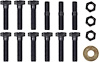 F12365 1964-79 Pontiac Firebird, Trans Am; Water Pump Bolt Set; 16 Piece Set - image 1
