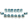 GM198 Bumper Bolt Set 1966-67 Nova - image 1