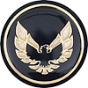 Shift Button Emblem 1976-1981 Firebird - image 1