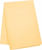 Extra Large 5-1/2 Square Foot 31 X 23 Synthetic Chamois - image 1