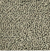 MA540504 Loop Carpet 1971 Plymouth Scamp 2-Door With 4-Speed Ivy Gold - image 1