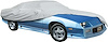 1993-2002 F-Body with Rea - image 1