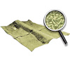 Superior Loop Carpet w/Mass Backing 1968-79 Nova/Chevy II - image 1