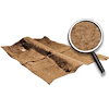 Superior Cut Pile Carpet 1968-79 Nova/Chevy II - image 1