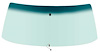 NR672T Windshield Glass 1975-79 Nova/ X-Body; 2 Door Coupe And Hatchback; With Antenna; Tinted - image 1