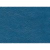 Premium Quality Interior Paint 1969-70 Mopar 338 Bright Blue - image 3
