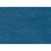 Premium Quality Interior Paint 1969-70 Mopar 338 Bright Blue - image 4
