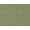 Premium Quality Interior Paint 1968-72 Mopar 432 Light Metallic Green - image 3