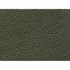 Premium Quality Interior Paint 1969-71 Mopar 434 Dark Metallic Green - image 3