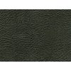 PP444 1972-73 Dodge/Plymouth, Interior Paint, 444 Dark Green, 16 Oz. Aerosol Can (Net Wt. 12 Oz) - image 3