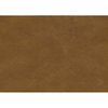 Premium Quality Interior Paint 1970 Mopar 656 Brown - image 3