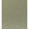 PP917 Interior Paint for 1963-69 Ford, Mercury [Light Ivy Gold Metallic] - image 4