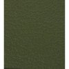 PP938 Interior Paint for 1971-73 Ford [17023 Medium Avocado] - image 4