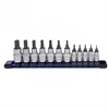 11 PC HX BIT SAE 1/4" & 3 - image 1