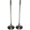 Intake Valve for Cummins N-14 Intake valve - image 1