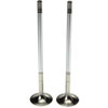 Intake Valve