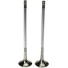 Exhaust Valve - image 1