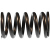 Valve Springs for Cummins C Series Engines - image 1