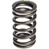 Valve Springs for Cummins ISC QSC QSL Engines - image 1