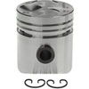 Piston Case/IH 3.6875 Bore D236 Diesel Eng. - image 4