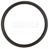 Distributor Gasket for Chrysler