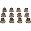 Valve Stem Seal Toyota Landcruiser w/2F 8/76-9/79 - image 1
