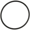 Thermostat O-Ring BMW 3.0L 4.4L DOHC 1994-2003 - image 1