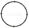 Thermostat Gasket - image 1