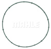 Throttle Body Gasket - image 1