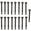 Cylinder Head Bolts 1982-2000 Chevy Diesel V8 6.2/6.5L - image 1