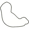 Water Pump Gasket Acura 2977cc 3.0L C30A1 DOHC V6 1991-2005 - image 1