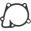 Water Pump Mounting Chry-Pass 2.0/2.4 GEMA World Engine - image 1