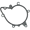 Water Pump Gasket BMW 3.0L 4.0L 4.4L 4.6L DOHC 32V 1994-2003