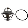 Thermostat Insert BMW 2.4L M21 Engines - image 4
