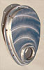 Billet Timing Cover Small Block Chevy - image 1
