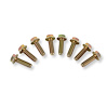Transmission Bolt Kit For Use with GM T56 Transmissions