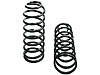 Trick Rear Springs 1979-2004 Mustang (Non-IRS) - image 1