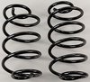 *Used* Trick Rear Springs 1978-87 A-Body/G-Body - image 1
