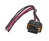 Plug and Harness CS - image 1