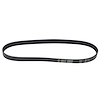 Serpentine Drive Belt - image 1