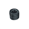 1/4in Pipe Plug - image 1